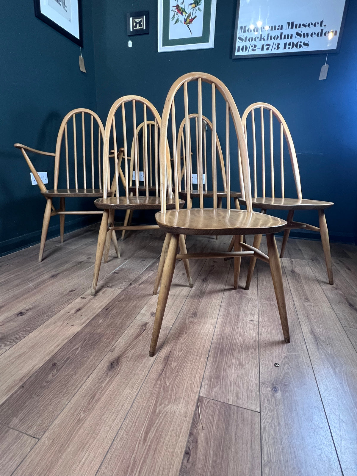 Set of 6 blonde Ercol Quaker dinning chairs